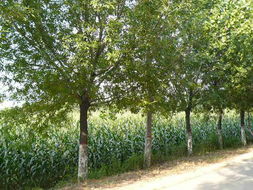 一呼百應公司頻道